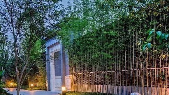 院子里别乱种树,海棠“富贵满堂”,桂花“出贵子”,旺运添福