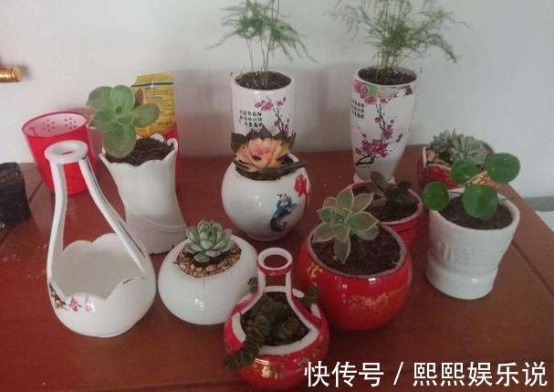 烦恼家中没有花盆就用2种''养花神器'',后者可循环使用