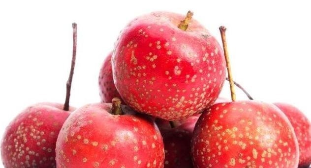 坏血酸|人要长寿,多吃4种食物,减少脂肪,排毒清肠,早吃早好