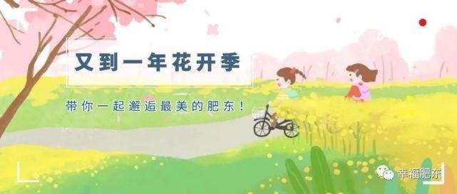 宛如仙境！肥东百万株映山红进入盛花期！不要错过~