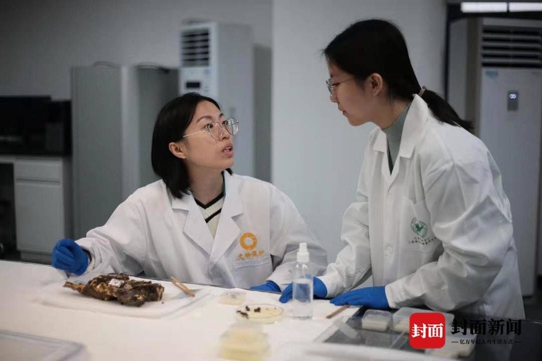 宝贝|考古新青年|90后文保队员蒋璐蔓:用一双巧手 让老祖宗留下的宝贝重焕光彩