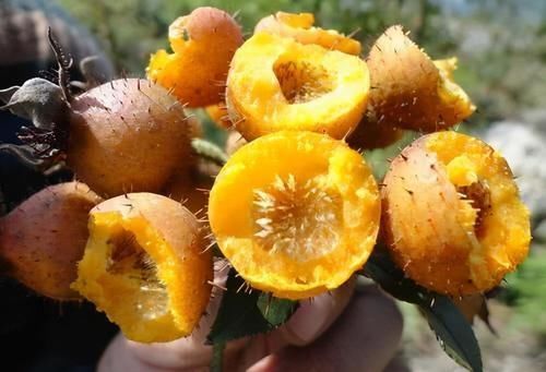 食物|想长寿先排毒,常吃3种食物,排毒养颜,延缓衰老,早吃早好