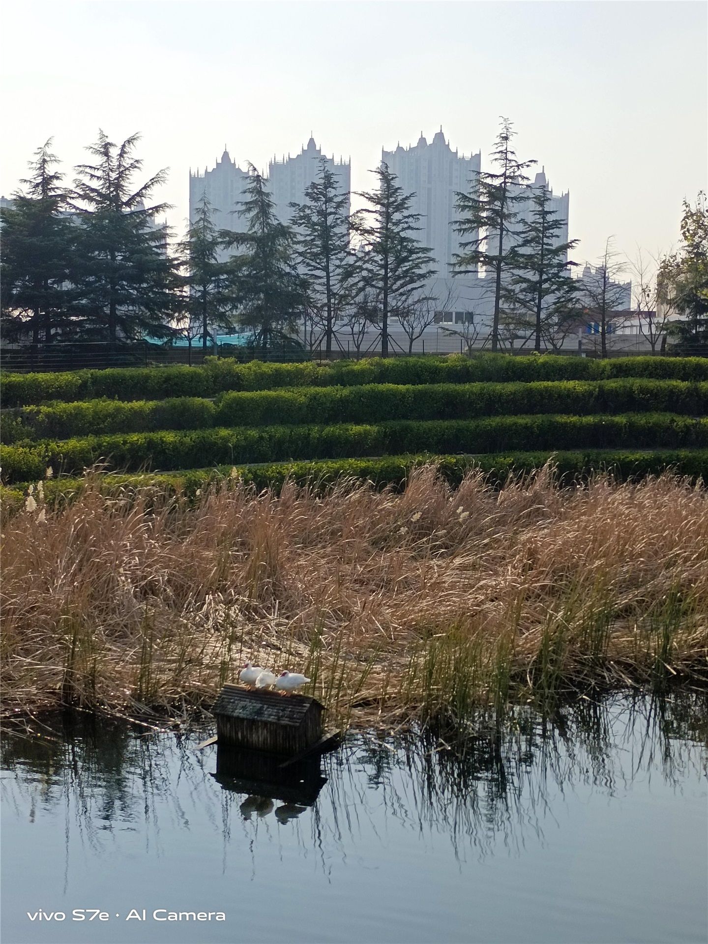 配色|轻薄机身 + 独特配色，vivo S7e 体验