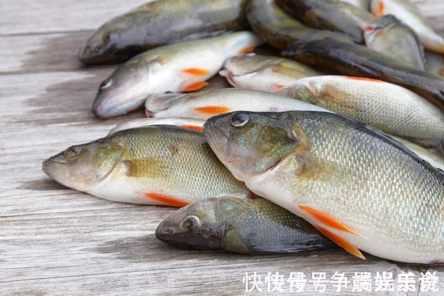 清蒸|买鲈鱼时，个头大的并不是好的，认准这几点，鱼贩子都夸你是内行