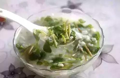 功效|马齿苋居然是“救命”的良药,究竟有哪些功效呢看完果断收藏