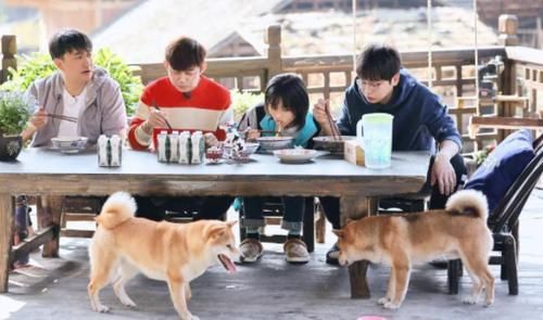 《向往的生活》第五季疑似曝光，张艺兴确认加盟，黄磊缺席录制