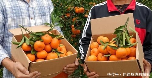 广东省惠州市|盘点惠州的5大特产美食,作为惠州人,你都吃过了吗