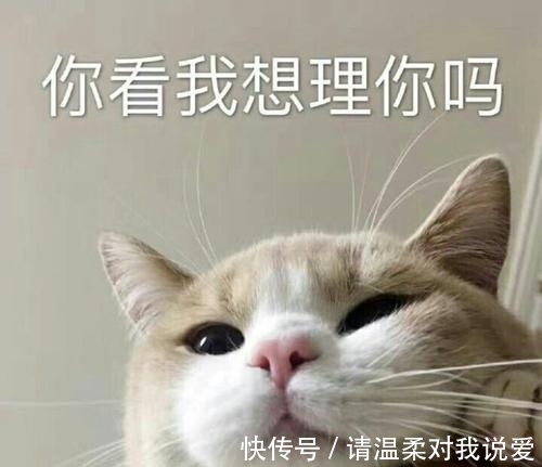 |笑话：有一次跟老公闹脾气，感觉他就是一点也不懂女人。