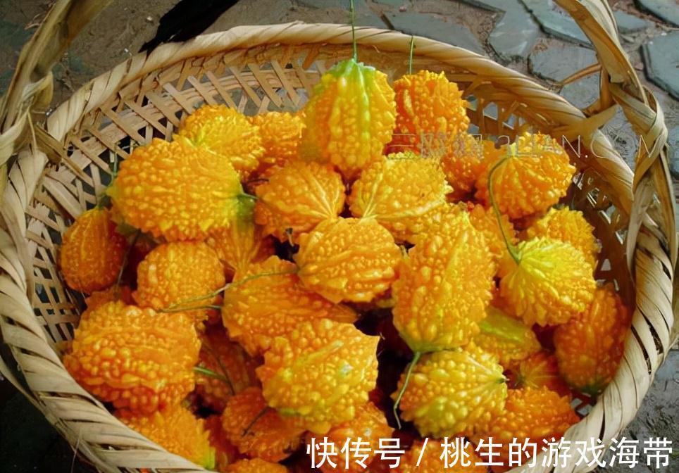 秋天|秋天不妨吃的食物,美容养生,改善体质,中年人吃了显年轻