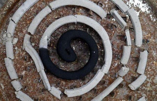 盆底垫三种东西,不怕招虫不烂根生病,养花更省事了