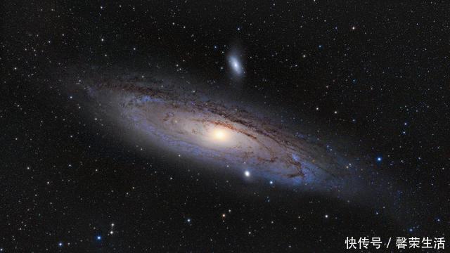 莱卡 上过太空的猴子再回到地球过得怎么样了