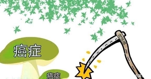 打通|中医总是说“三焦不通”,三焦到底是指什么如何打通三焦