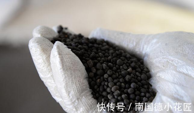 栽种|养花换下来的旧土别扔，加4种东西，比新土还好用