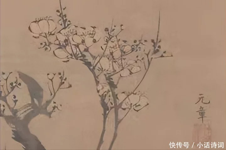 不要告诉别人（梅花的品质和精神）梅花品格的词语 第11张