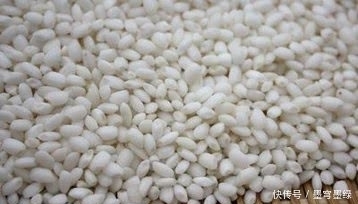 野钓鲫鱼想要不空军 你应该知道的四个打窝补窝技巧