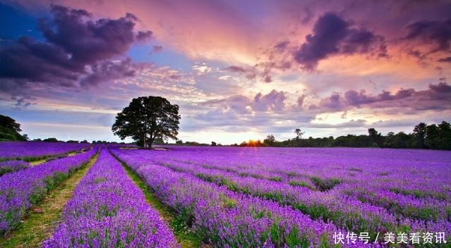 勤劳|再有钱,做不到这四点穷得快!(深度好文)