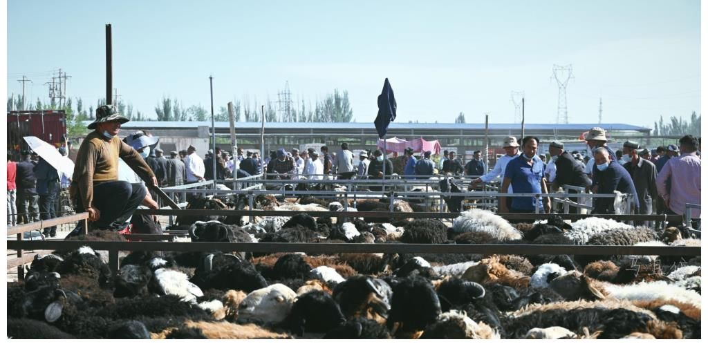 美食|7月去哪玩 这座被低估的中国边陲之城, 美食美景一样不缺