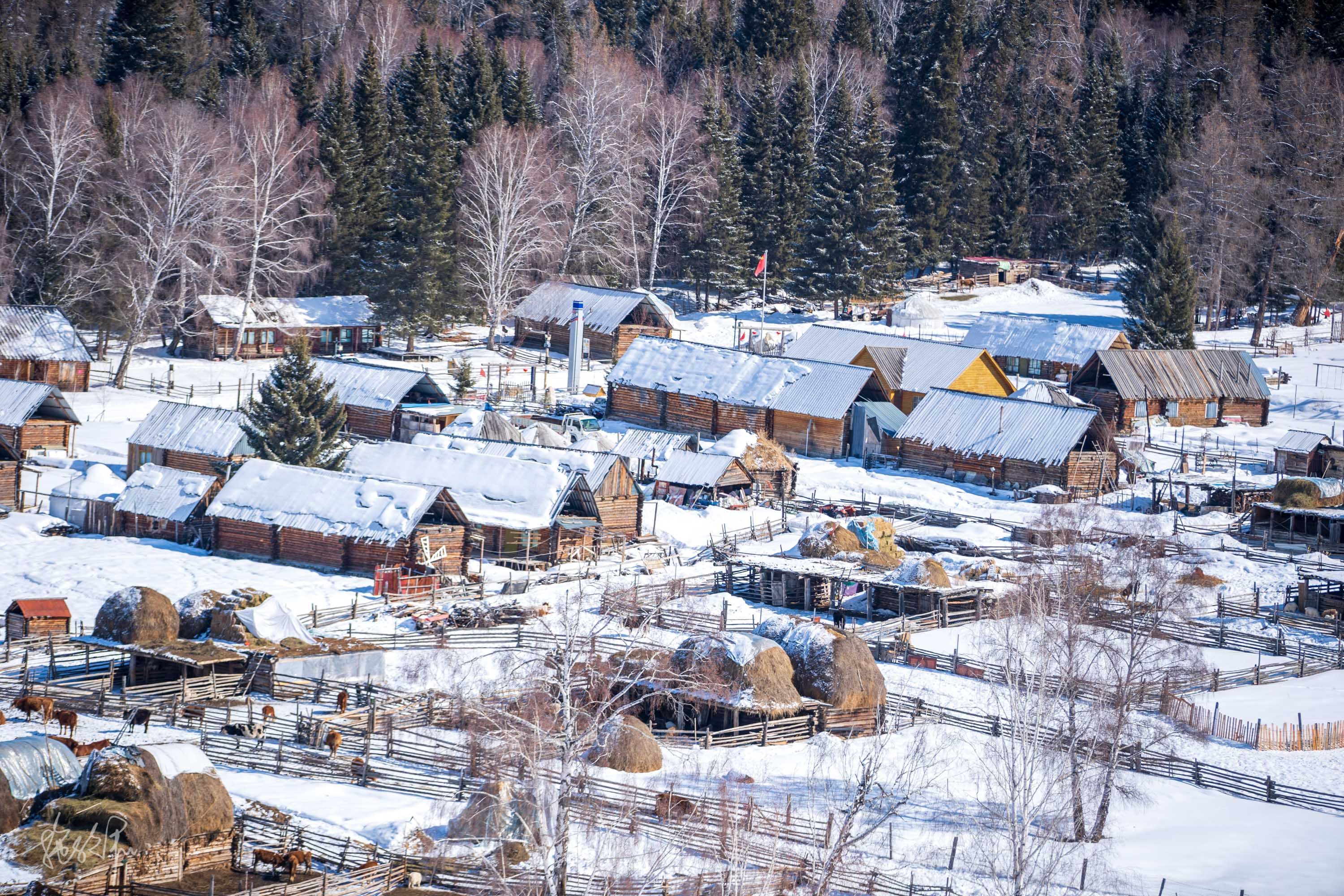 自驾新疆23天：北疆冰雪童话世界（上）