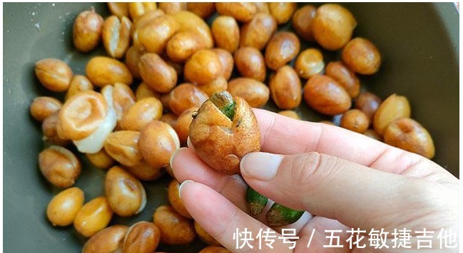 遇见|夏季遇见不要错过，营养极高，买来加冰糖熬一熬，过夏季就没了！