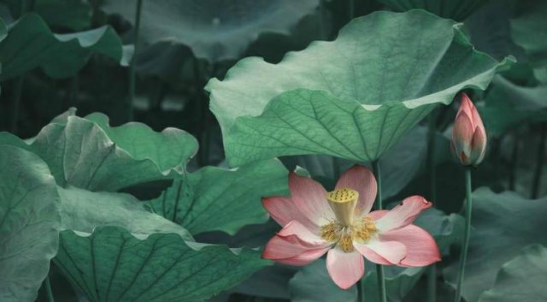 首相|晏几道失恋后写下的这首相思词,无一字不伤感,无一字不忧愁!