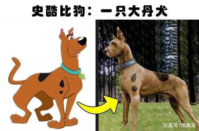 童话里不是骗人的?细数7种与卡通角色非常神似的现实动物