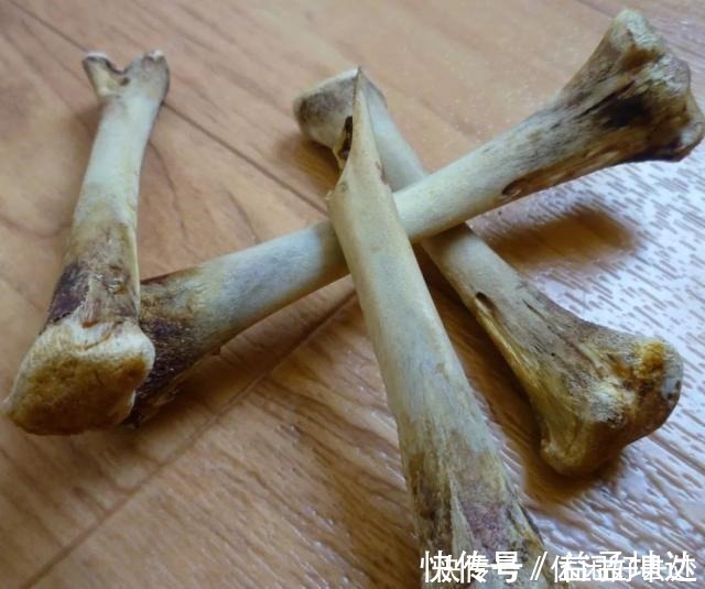 将骨头变成骨粉有几个简单技巧 用来养花有三大好处 粉紫色 将骨头变成骨粉有几个简单技巧 用来养花有三大好处 粉紫色
