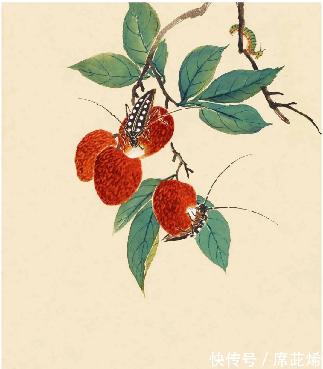 中国画#他一手花鸟得南田遗韵,清雅明丽,恰似清风徐来|陆抑非花鸟画