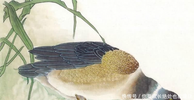 题写|元代才子画了一只鸭子,画不怎么出名,上面题写的诗却成为了经典