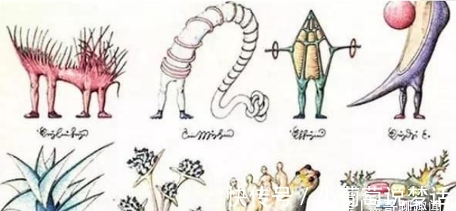 文字|世界上最神奇的书,自出版几百年来,至今无人能懂