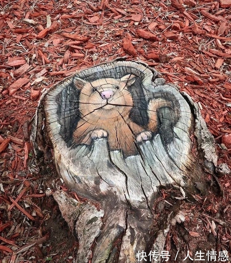 幸福的生活#可可爱爱的3D粉笔画,让无聊的街头变得妙趣横生,把路人都萌翻了