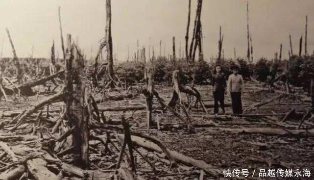 盟军|叫嚣一亿国民总玉碎,准备垂死一战的日本,为何最后投降了