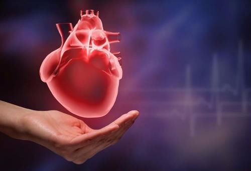 鱼汤|喝粥不“养胃”?张文宏:多吃这3种食物,或会有好转