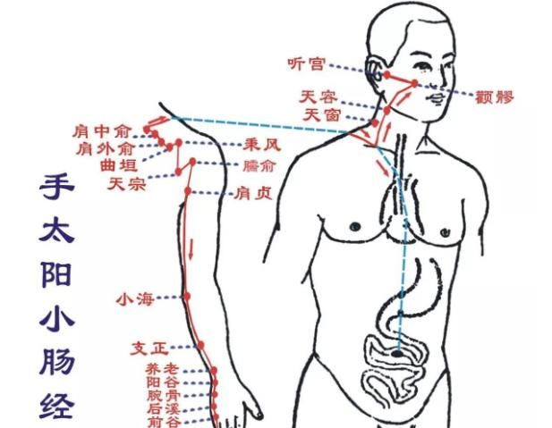  养生|养生就是通经络，经络畅通，脏腑协调，百病不生！健康百岁不是梦