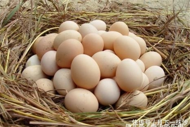 不亡|光绪吃的天价鸡蛋，一年要花12000多两银子，大清不亡才怪！