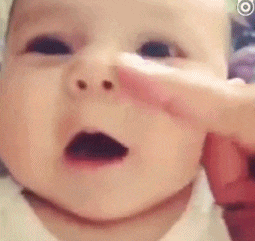 |搞笑GIF段子:狗子:这么多大风大浪都过来了,没想到最后还是翻船了