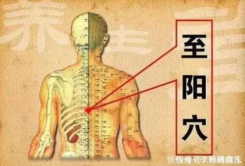 身体|发现了打开人体阳起的''金钥匙''，没事拍一拍，有助身体更健康