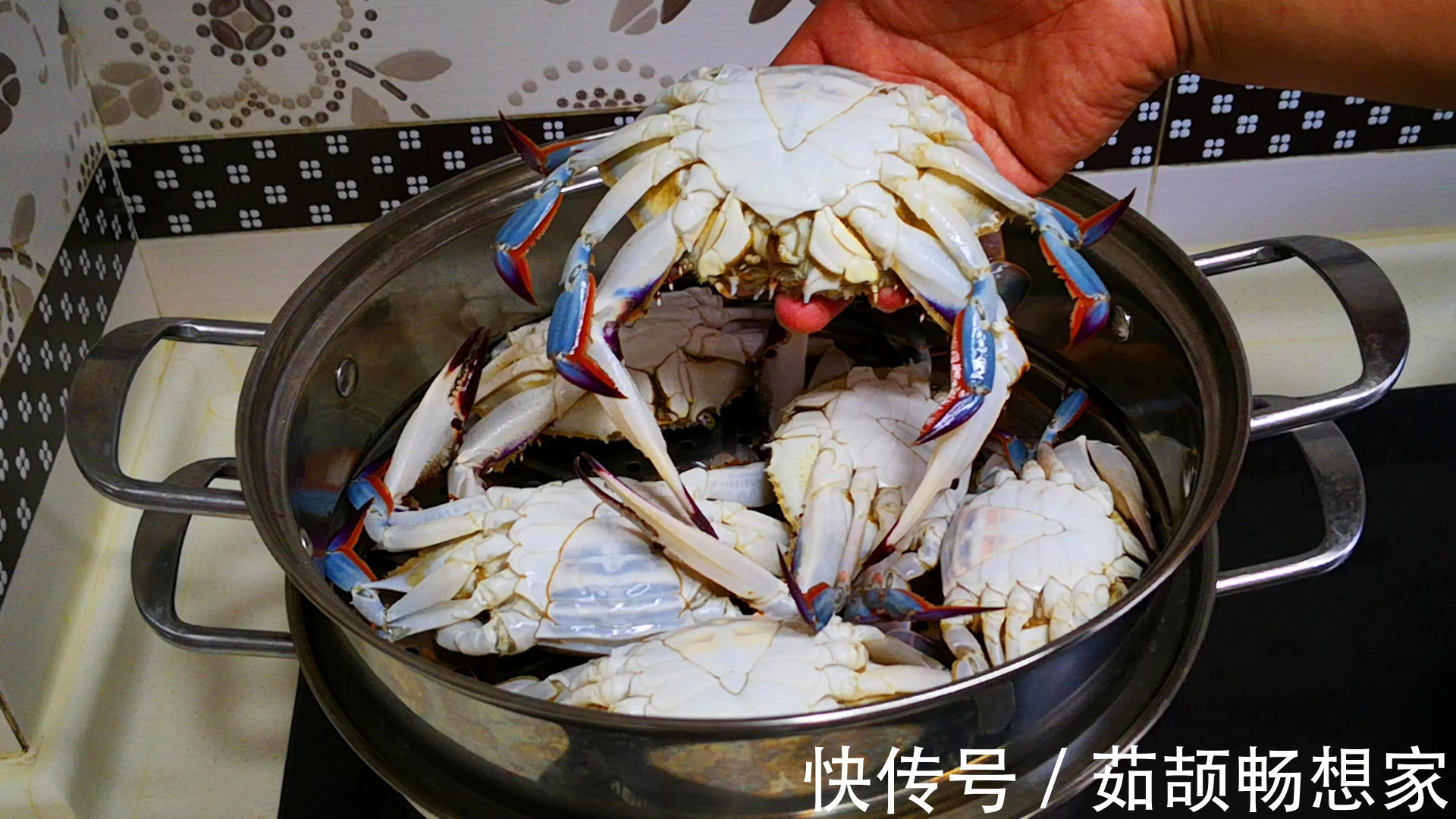 蒸螃蟹，冷水还是热水上锅多数人做错，难怪蟹黄外流，蟹腿一锅