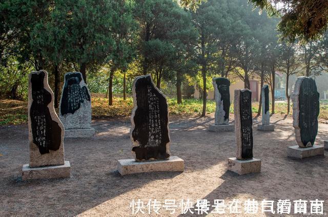 河湟#张籍在《送杨少尹赴凤翔》诗中,将自己的不舍表露的淋漓尽致