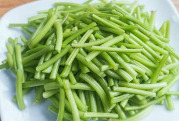 旋花科|它常生长于岩石缝中,形状酷似韭菜,春季采摘正当时切勿错过