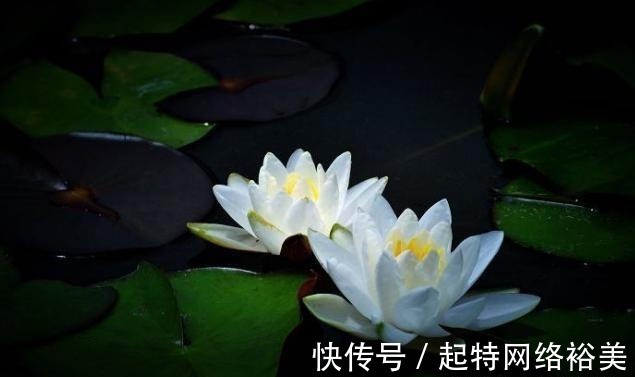 福运$老祖宗:积“阴德”的3件事,常做福运不请自来,你做了几件?