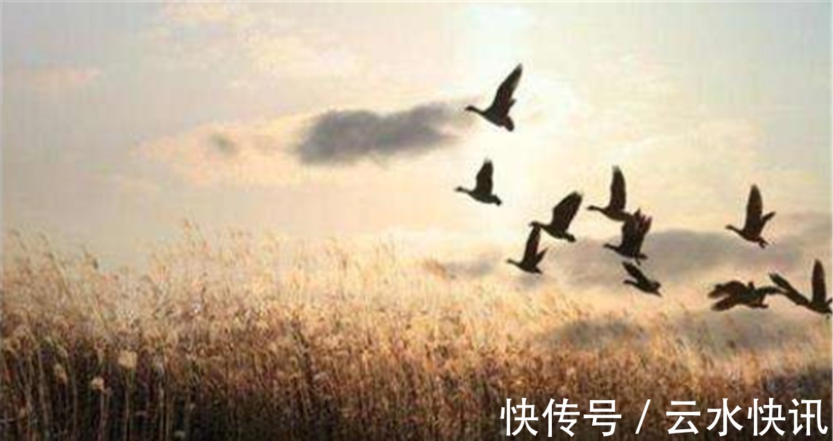 边塞诗@北宋奇才范仲淹,写下一首《渔家傲秋思》,可谓传世之经典