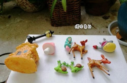 这花真好养,叶子沾点水就能活,7天爆满一大缸