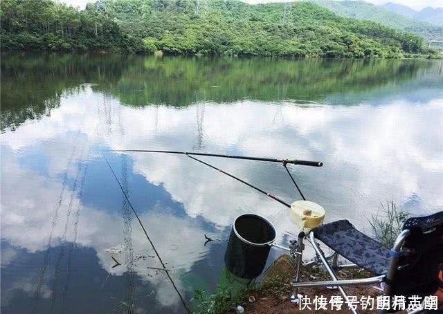 顿口|浮漂有动作,提竿却不中鱼,这种情况该如何应对