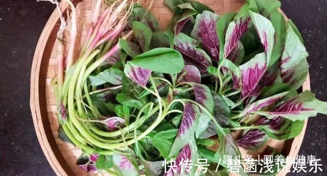 红苋菜|一两苋菜一两金!4种吃法解毒减脂、补钙益脑,胜过诸多大补药!