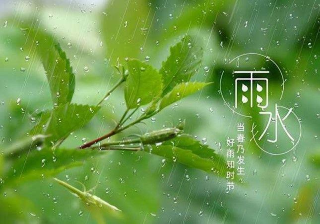 “最是一年春好处”，万物复苏，顺时养生|读书 | 春分