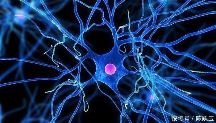 记忆力|科学研究表示：长寿老人大多有3个共性，看看你家老人有几个符合