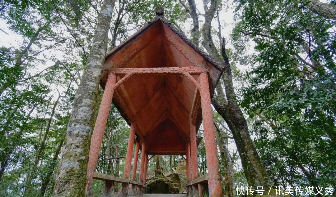 大V推荐丨金山人“拍了拍你”,一起去爬古道仙踪的鹅仙洞呀!