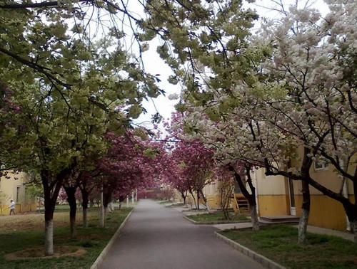 很“排内”重点的大学，本地学生并不爱报考，外地学生却络绎不绝