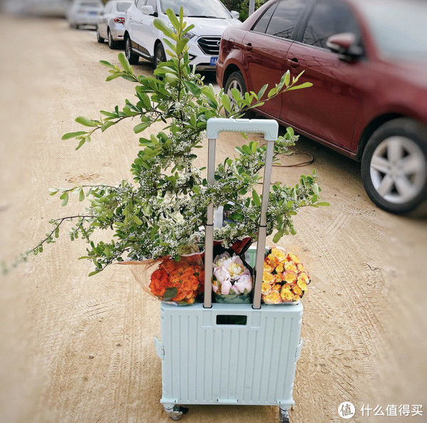 收纳|我妈第一次来我家，直接惊呆，吐槽：原来你的钱都是这样花光的