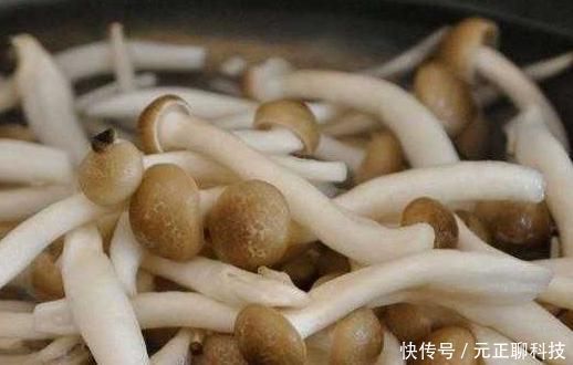 人到中年,可常吃以下食物,排毒消脂,排毒祛湿,肌肤更细嫩